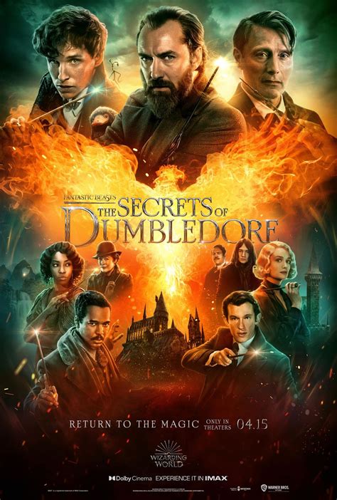 dumbeldore movies|dumbledore movie 2022 cast.